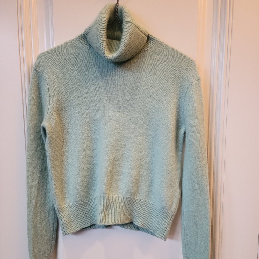 Babaton Group Cashmere Turtleneck